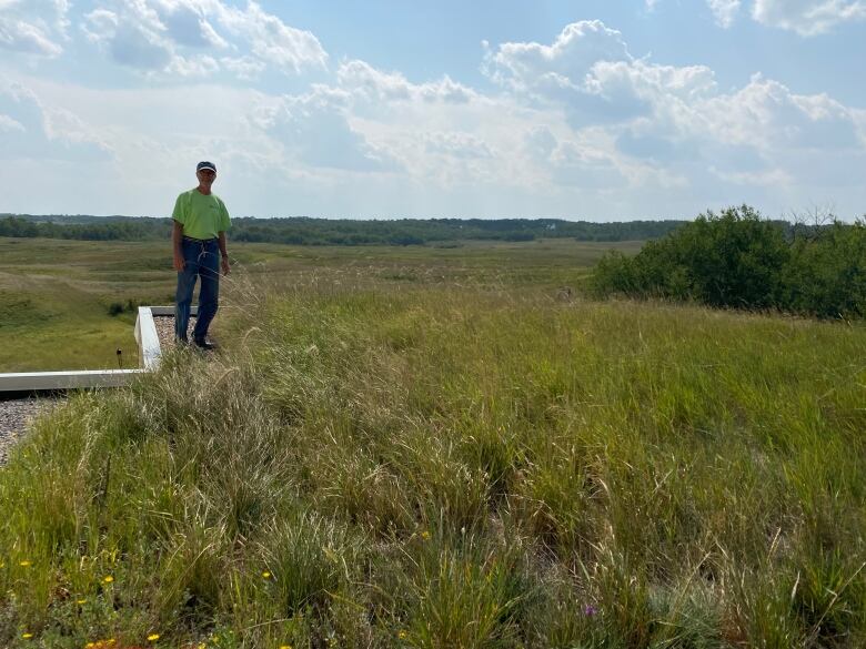 A man stands on a roof that is covered in tall grass. Behind him, you can see a matching landscape of green rolling terrain reaching to the horizon.