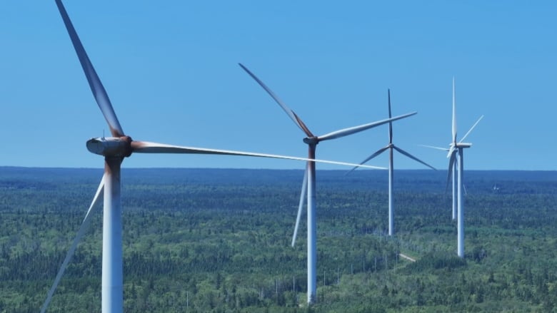 A row of windmills.