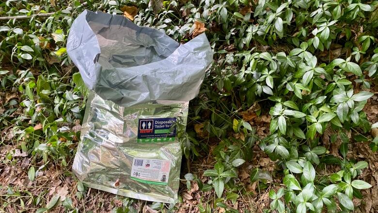 A silver bag rests on the plant-covered ground. A looser 