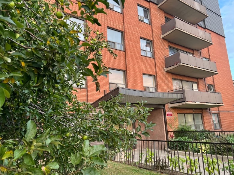 An exterior shot of Bernadette Mamo's apartment in Scarborough taken during last week's heat wave.