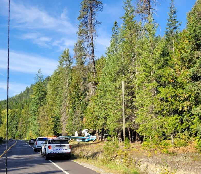 A small plane lies on the side of a road, with police vehicles alongside it.