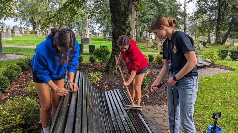 Three young women cleaning a bench in a cemetery 