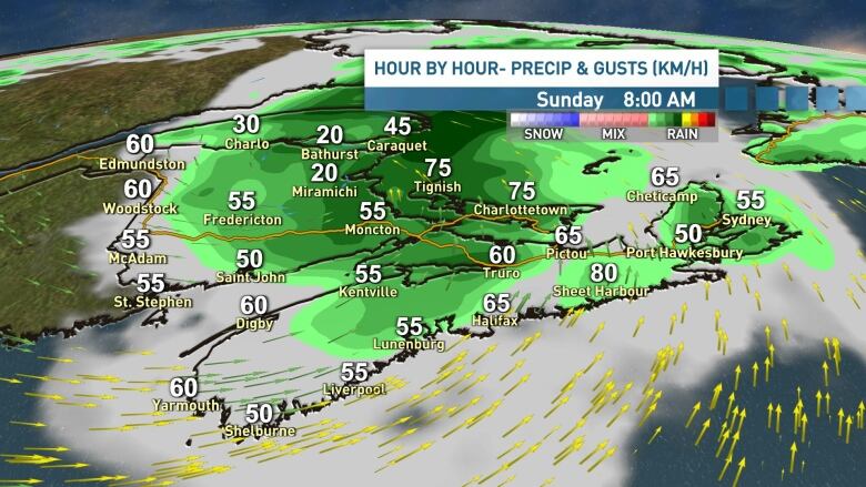 Some lingering bands of rain and gusty winds are likely to continue into Sunday morning.