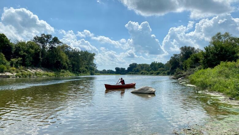 Wide shot of a late with trees on each side, with Ben Chamberlain paddling a canoe in the middle of the shot. 