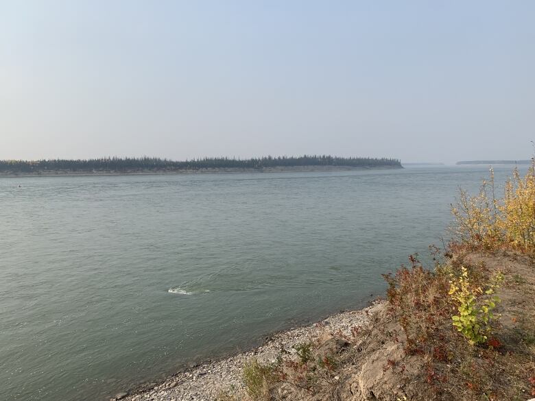 A wide river is seen beside brush.