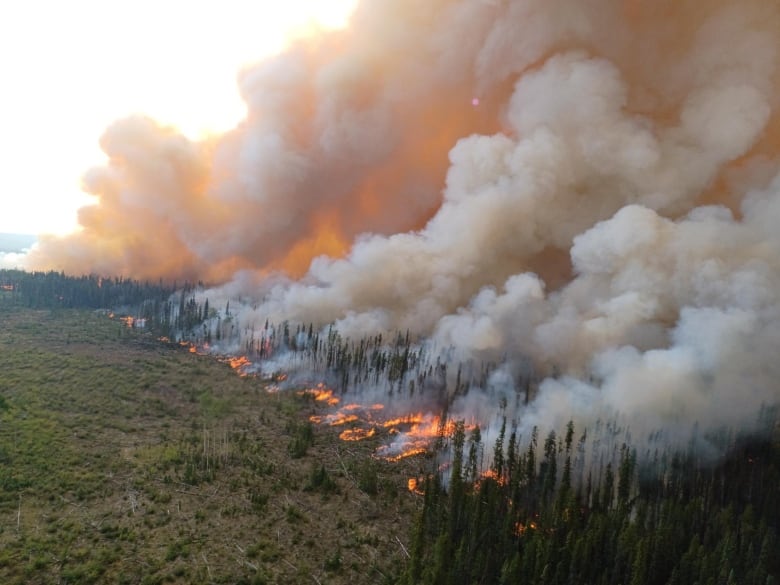 A large wildfire spews smoke from a forest.