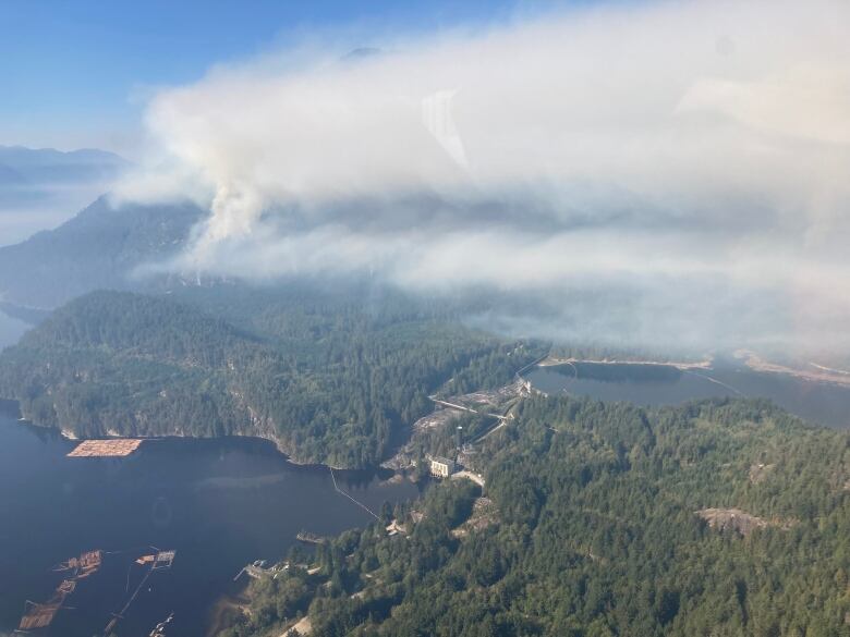 Smoke rises from a picturesque coastal forest.