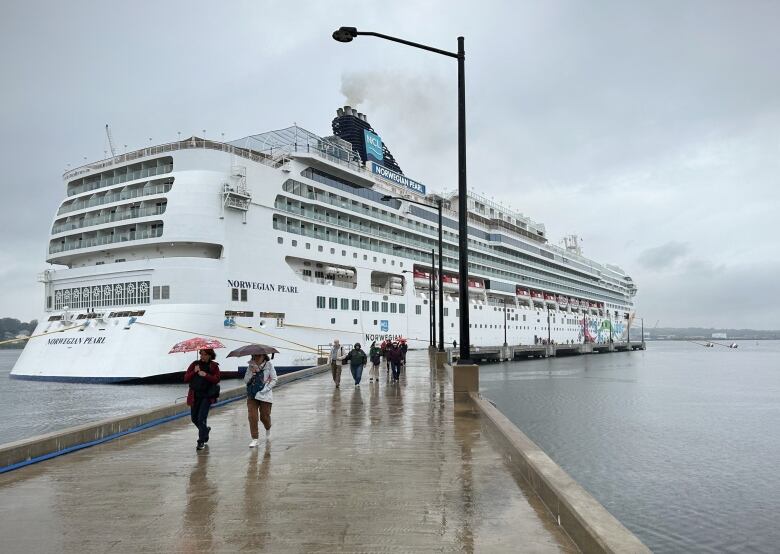 Passengers walk along a concrete dock carrying umbrellas in the rain with a large cruise ship in the background.