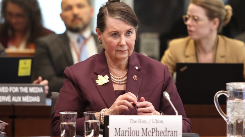 Manitoba Sen. Marilou McPhedran is seen at a parliamentary committee in April.