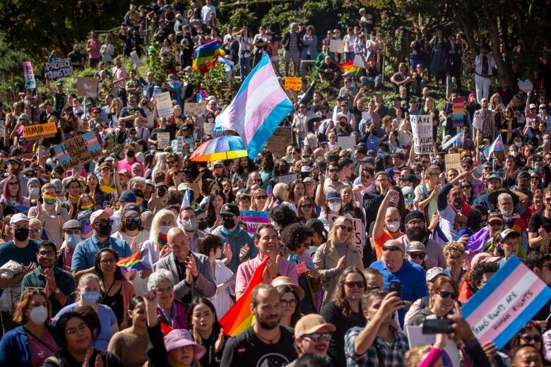 A large crowd holding pride and trans pride flags