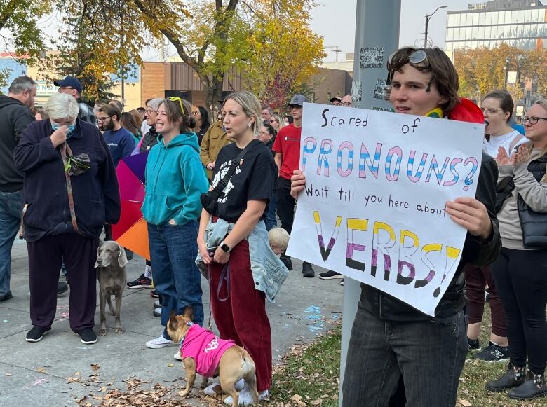 A person holds up a sign that reads 'Scared of pronouns? Wait until you hear about verbs!