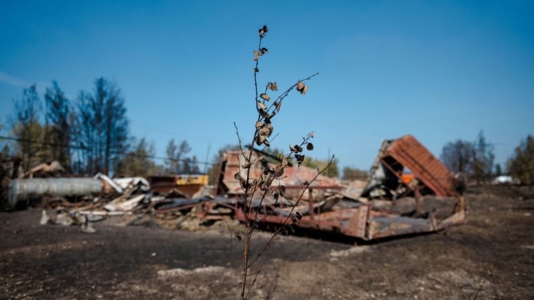 Charred remains are seen on the side of the road beside the highway in Enterprise, Northwest Territories, Canada, on August 20, 2023