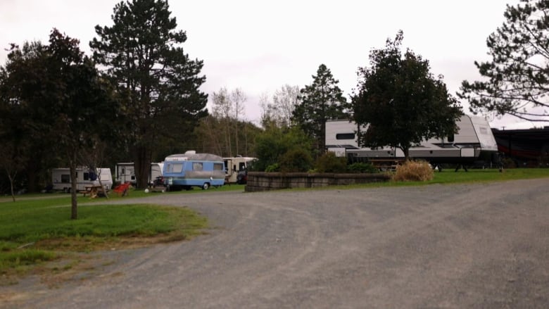 Three holiday trailers sit on gravel pads surrounded by trees.