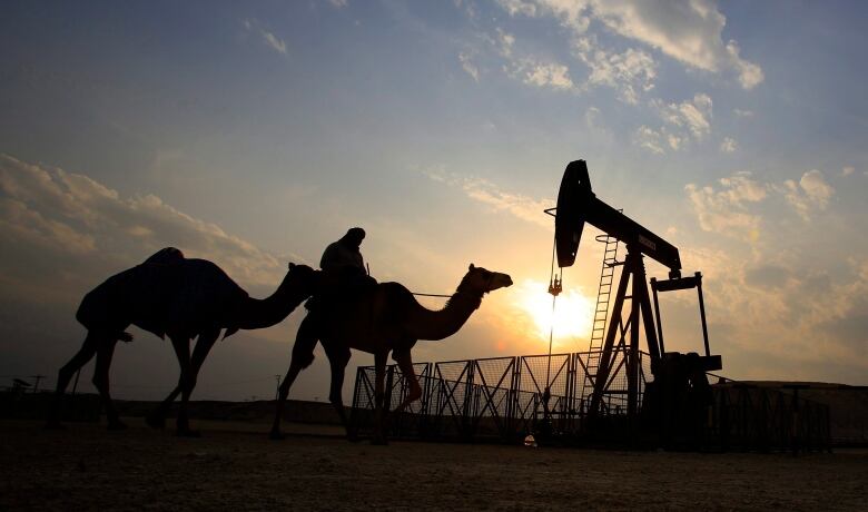 A man rides a camel near an oil field as the sun is setting.