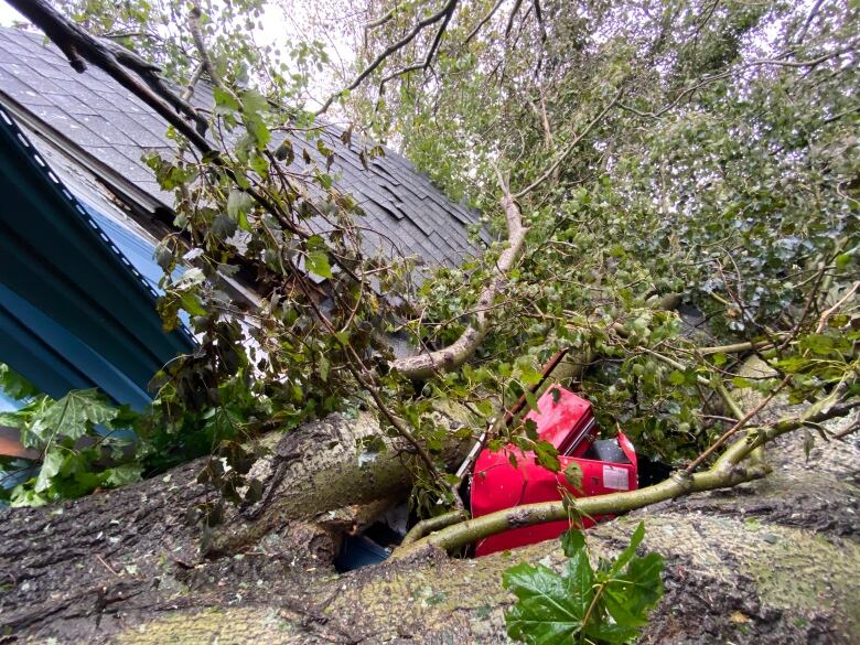 A tree rests on a garage that once stood in Ashby, Nova Scotia. A tool box is crushed with a damaged garage in the background.