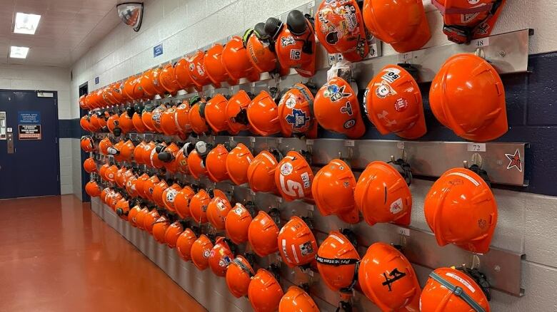 Four rows of orange hard hats hang along a wall. 