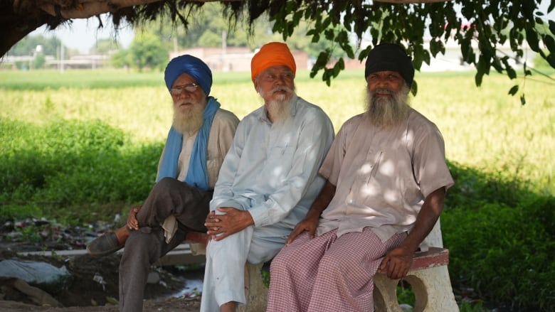 Three people sit on a bench in the shade under a tree.