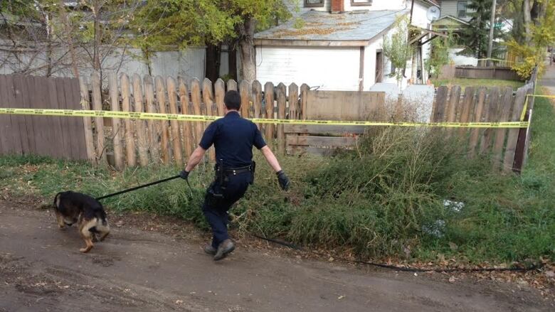 A police officer holds a large dog on a leash in a back alley. Both are facing away fromthe camera.