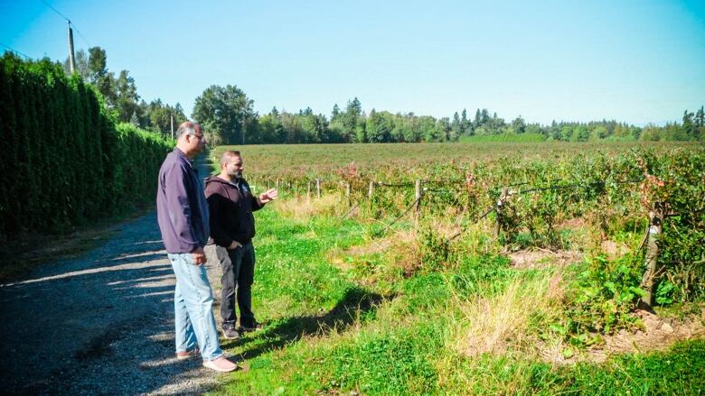 Exporter Vivek Dhume, left, discusses with farmer Sunny Brar what needs to happen to prepare this Langley blueberry farm for sales to India.