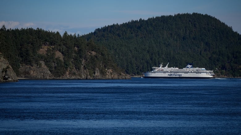 A white ferry glides on deep blue water with a green forest mountaneous island in the back. 