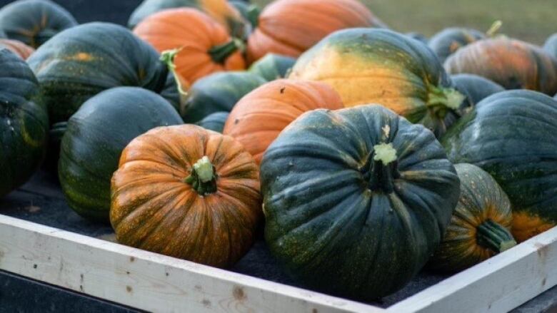 a box full of green and orange pumpkins