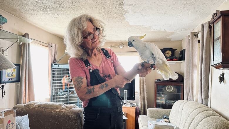 Rick Hedden with his parrot on his finger, at Maple Ridge RV Park in Maryhill, Ont.