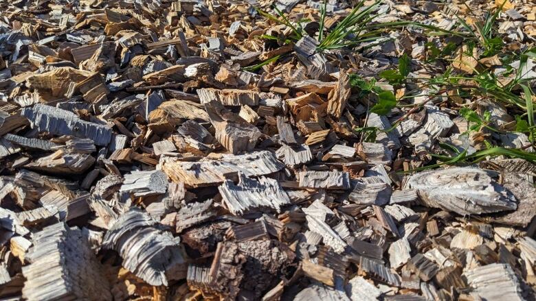 Wood chips scattered on the ground.