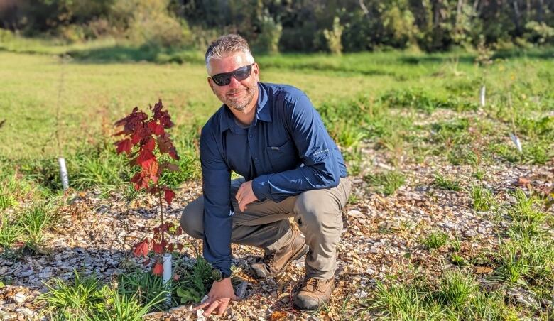 A man wearing dark sunglasses and work clothes crouches next to a small maple tree with orange leaves.