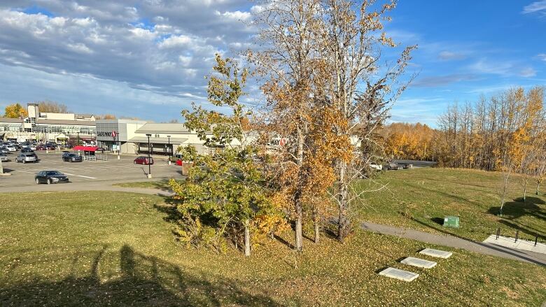 A park beside a parking lot with a grocery store in it.