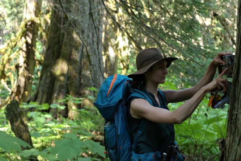 A woman wearing a large brimmed brown hat and a blue hiking backpack is attaching a camera to a tree. In the background are other trees and lots of tall shrubs.