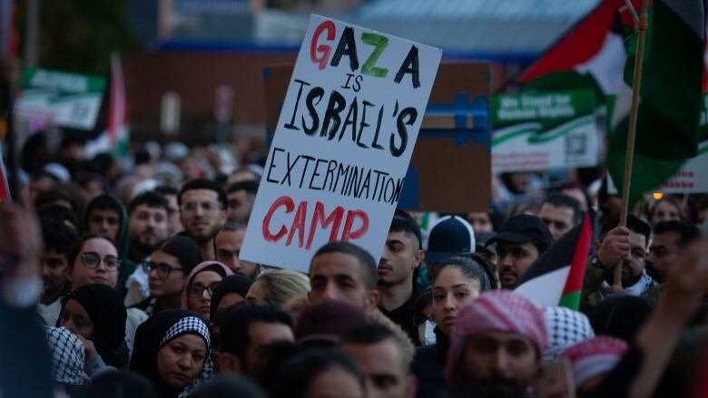 A group of people with Palestinian flags