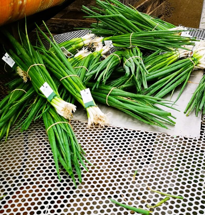 Freshly harvested green onions sit on top of a mesh grill