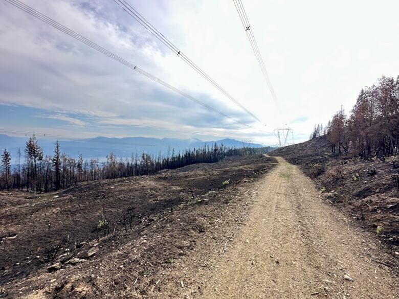 A forest service road scorched earth, powerlines overhead.