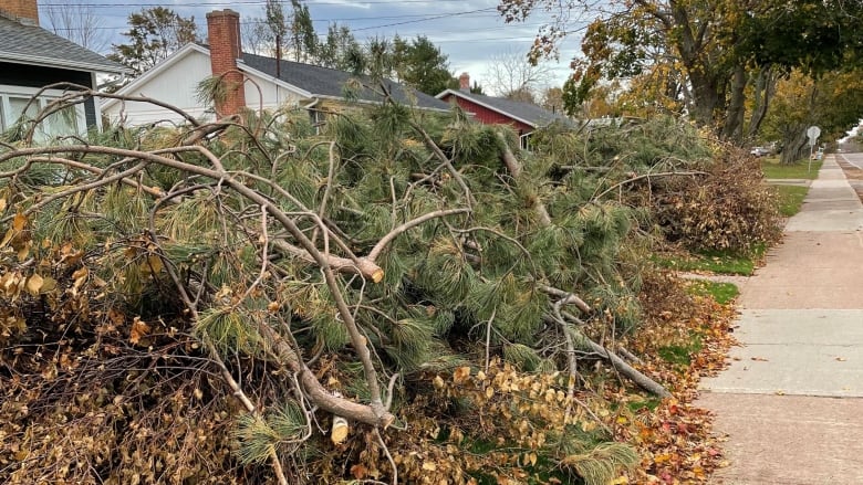 Fiona debris piled high along a sidewalk in Charlottetown.