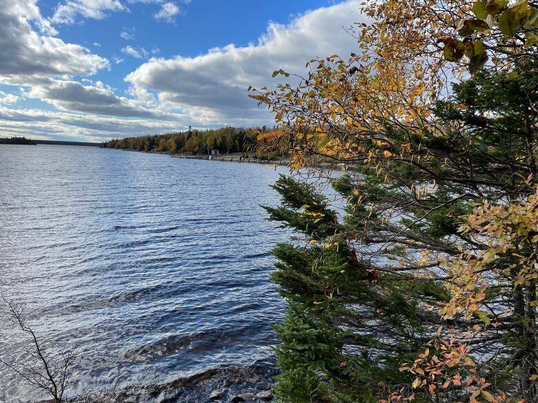 Water shines in the sun with fall colours on the trees