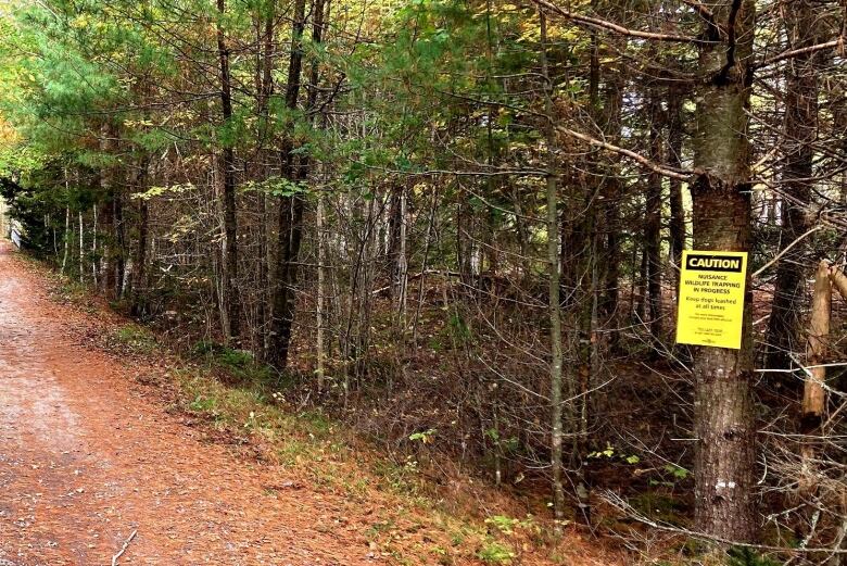 A small caution sign is seen posted to a tree on the side of a trail.