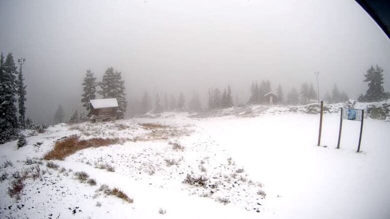 snow is seen on Mount Seymour