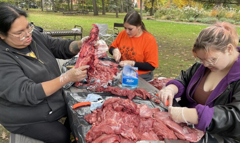 A Cree student scorching a moose nose. 