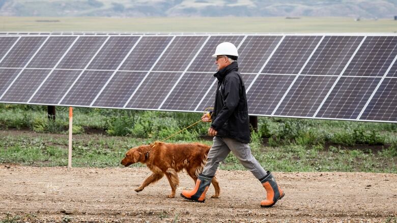 Landowner Duane Olson and his dog Bella walk past solar panels at the opening of the Michichi Solar project near Drumheller, Alta., Tuesday, July 11, 2023.THE CANADIAN PRESS/Jeff McIntosh