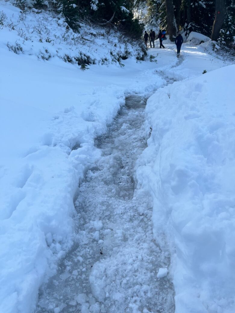 A hiking path covered in snow, with a narrow passage way. In the far distance, people dressed in winter attire are seen walking toward a pathway lined with trees. 