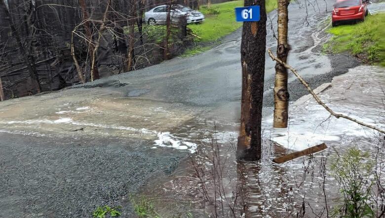 Brownish water overflows the brook and culvert, washing out the bottom of a driveway as cars are parked up above it on a lawn