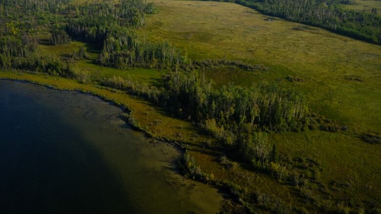 The McClelland Lake and its surrounding fen.