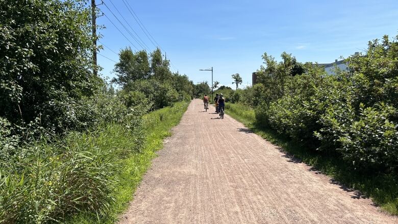 Cyclists on the Confederation Trail.