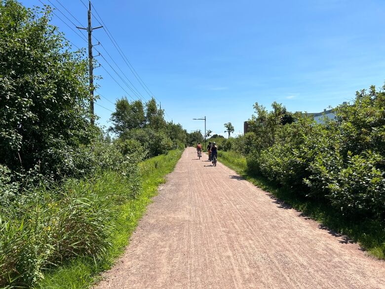 Cyclists on the Confederation Trail.