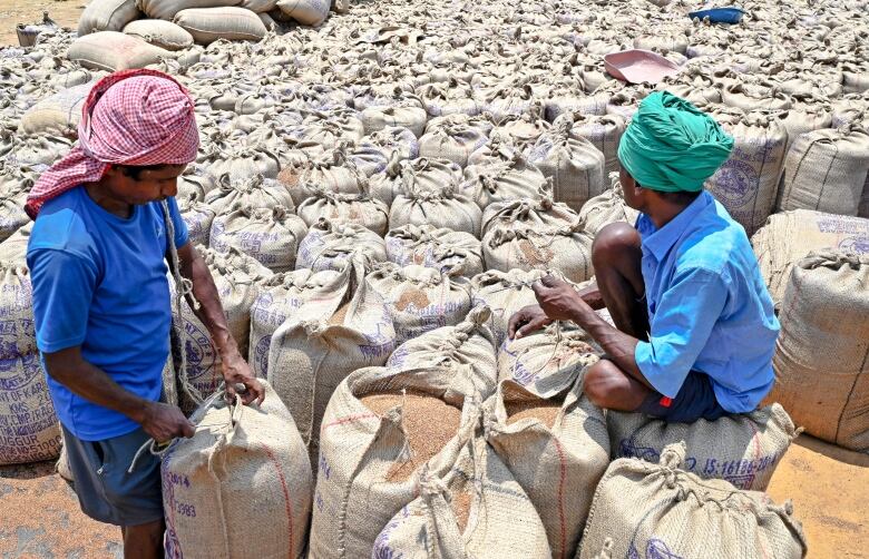 Labourers sew gunny sacks filled with finger millets (ragi) on the outskirts of Bengaluru on April 6, 2023.