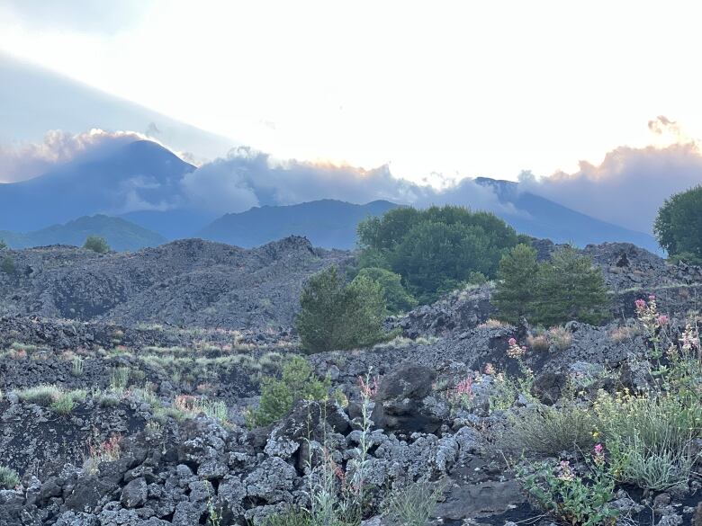 Canadian David Orr began his run up Italy at Mount Etna, pictured above. It took Orr almost three-months to run 3,500 kilometres up the length of the country. 