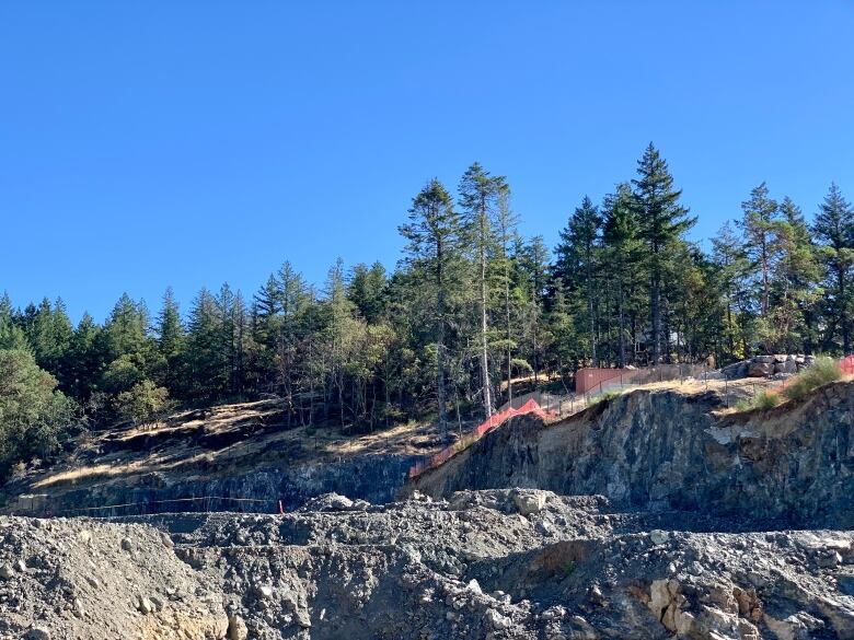 An empty, rocky, lot with trees and some constructon fencing. 