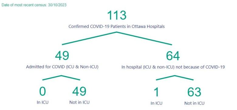 A chart showing the number of people in Ottawa hospitals with COVID.