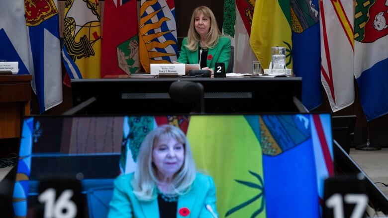 Mary Moreau appears before the House Justice and Human rights committee