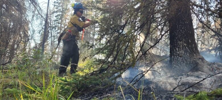 A person in a forest sprays water toward the base of a tree.